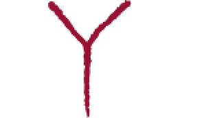 epsylon